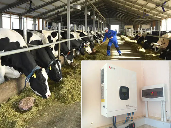Is 8KW Hybrid Inverter the Best Choice for Kazakhstan Farm?